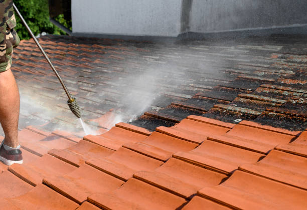 Best Deck Cleaning Services  in Spring Hill, FL