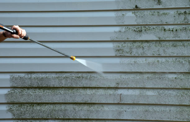 Best Affordable Power Washing  in Spring Hill, FL