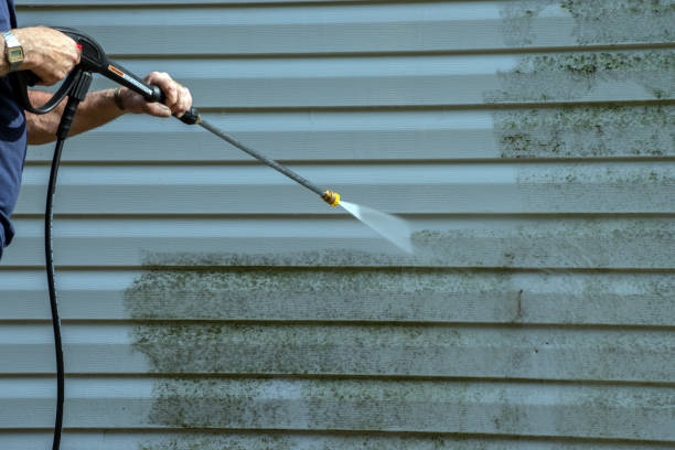 Best Deck Pressure Washing  in Spring Hill, FL